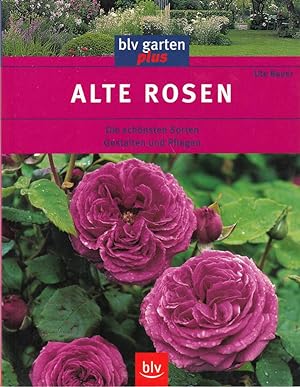 Immagine del venditore per Alte Rosen venduto da Die Buchgeister