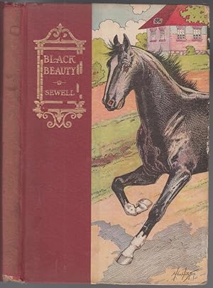 Black Beauty The Autobiography of a Horse The Rainy Day Series 1907