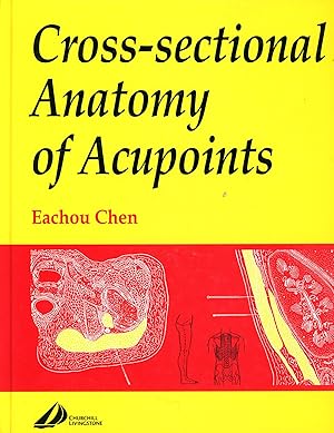 Cross-sectional Anatomy of Acupuncture