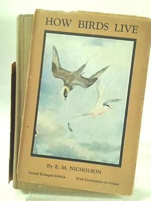 Imagen del vendedor de How Birds Live a la venta por World of Rare Books