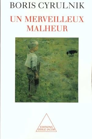 Un merveilleux malheur