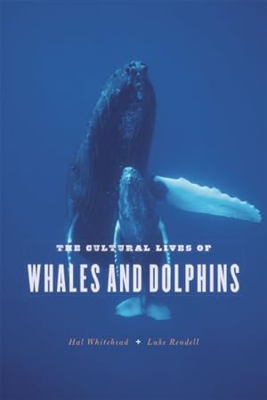 Immagine del venditore per Cultural Lives of Whales and Dolphins venduto da GreatBookPrices