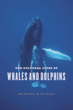 Immagine del venditore per Cultural Lives of Whales and Dolphins venduto da GreatBookPrices