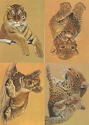 Tiger Paintings 4x Stunning Art Postcard s