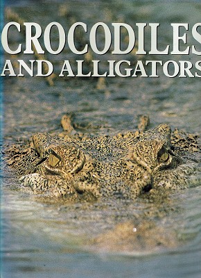 Crocodiles And Alligators