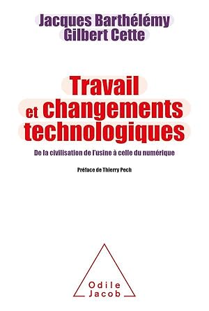 Bild des Verkufers fr travail et changements technologiques : de la civilisation de l'usine  celle du numrique zum Verkauf von Chapitre.com : livres et presse ancienne