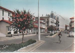 Image du vendeur pour Postal E06450: Le Boulevard Thermal Lagerstromia en fleurs-Dax. Landes mis en vente par EL BOLETIN