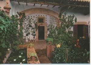 Seller image for Postal E05828: Jardn de la celda de Chopin-Valldemosa. Mallorca for sale by EL BOLETIN