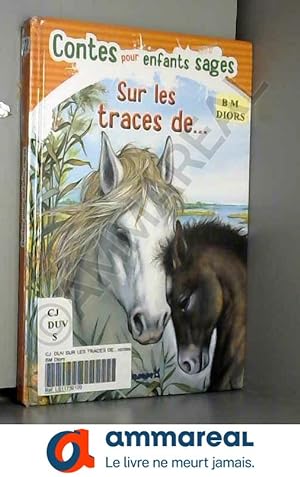 Imagen del vendedor de Sur les traces de. - Contes pour enfants sages a la venta por Ammareal