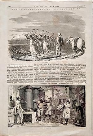 Sugar Cultivation in the West Indies June 9 1849 - Pages 388 & 389