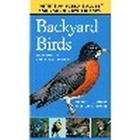 Bild des Verkufers fr Backyard Birds (Field Guides for Young Naturalists) zum Verkauf von ChristianBookbag / Beans Books, Inc.