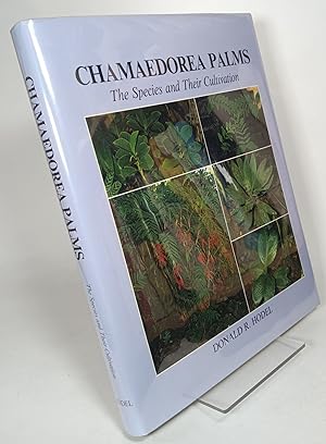 Imagen del vendedor de Chamaedore Palms: The Species and Their Cultivation a la venta por COLLINS BOOKS