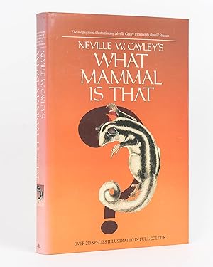 Seller image for What Mammal is That for sale by Michael Treloar Booksellers ANZAAB/ILAB