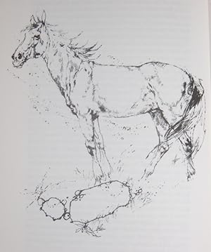 Seller image for Snowy River Brumby for sale by HORSE BOOKS PLUS LLC