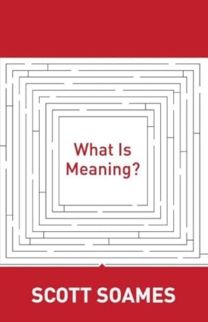 Immagine del venditore per What Is Meaning? venduto da GreatBookPricesUK