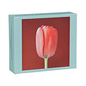 Seller image for Mapplethorpe Flowers : Greeting, Thank You & Invitation Cards for sale by GreatBookPricesUK