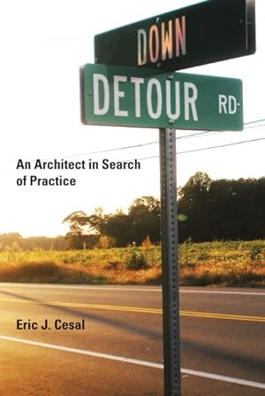 Imagen del vendedor de Down Detour Road : An Architect in Search of Practice a la venta por GreatBookPrices