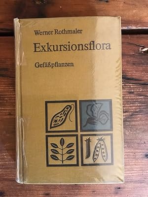 Image du vendeur pour Exkursionsflora fr die Gebiete der DDR und der BRD: Gefpflanzen mis en vente par Antiquariat Liber Antiqua