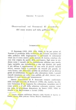 Osservazioni sui fenomeni di accumulo del rosso neutro nel tubo pollinico.