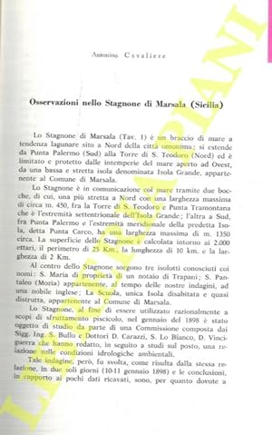 Osservazioni nello Stagnone di Marsala (Sicilia).