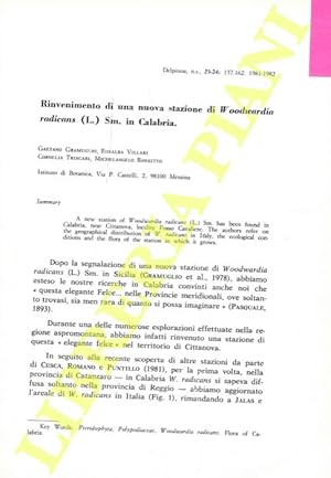 Bild des Verkufers fr Rinvenimento di una nuova stazione di Woodwardia radicans (L.) Sm. in Calabria. zum Verkauf von Libreria Piani