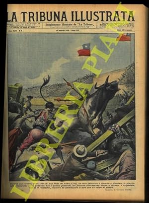 Durante una corrida, nella città di San Polo de Alma (Cile), un toro infuriato è riuscito a sfond...