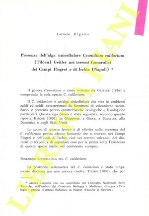 Presenza dell'alga unicellulare Cyanidium caldarium (Tilden) Geitler nei terreni fumarolici dei C...