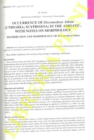 Occurrence of Discomedusa lobata (Cnidaria, Scyphozoa) in the Adriatic, with notes on morphology.