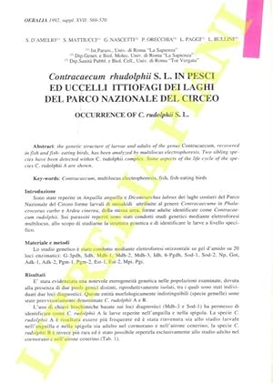 Contracaecum rhudolphii S.L. in pesci ed uccelli ittiofagi dei laghi del Parco Nazionale del Circeo.