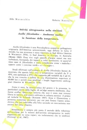 Bild des Verkufers fr Attivit nitrogenasica nella simbiosi Azolla filiculoides - Anabaena azollae in funzione della temperatura. zum Verkauf von Libreria Piani