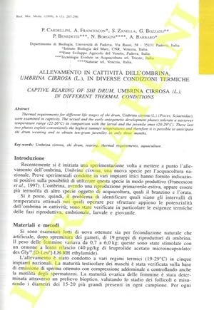 Allevamento in cattività dell'ombrina, Umbrina cirrosa (L.), in diverse condizioni termiche.