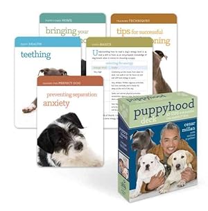 Imagen del vendedor de Puppyhood Deck : 50 Tips for Raising the Perfect Dog a la venta por GreatBookPrices