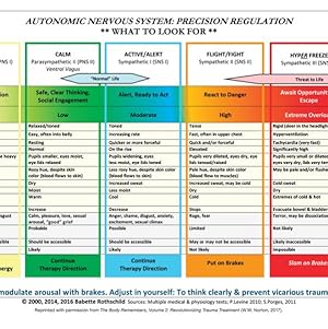 Seller image for Autonomic Nervous System Table Wall Poster for sale by GreatBookPrices