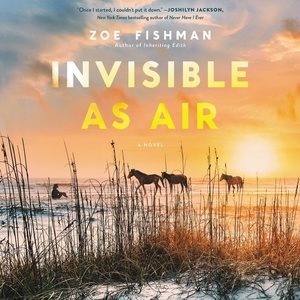 Image du vendeur pour Invisible As Air mis en vente par GreatBookPrices