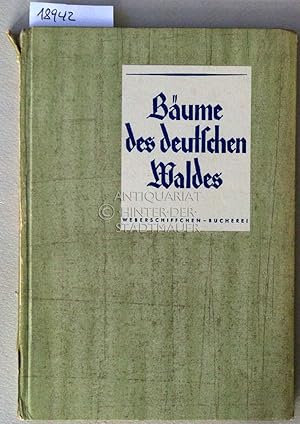 Bild des Verkufers fr Bume des deutschen Waldes. [= Weberschiffchen-Bcherei, 1] Nach Carl Christoph Oelhafens von Schllbach berhmter "Abbildung der wilden Bume, Stauden und Buschgewchse." zum Verkauf von Antiquariat hinter der Stadtmauer