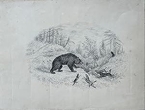 Bear Hunting