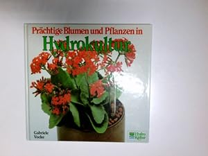 Imagen del vendedor de Prchtige Blumen und Pflanzen in Hydrokultur. Gabriele Vocke ; Karl-Heinz Opitz a la venta por Antiquariat Buchhandel Daniel Viertel