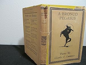 Seller image for A Bronco Pegasus for sale by DRM books