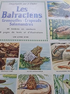 les batraciens grenouilles crapauds salamandres