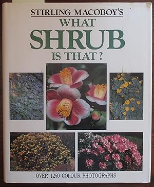 What Shrub is That?