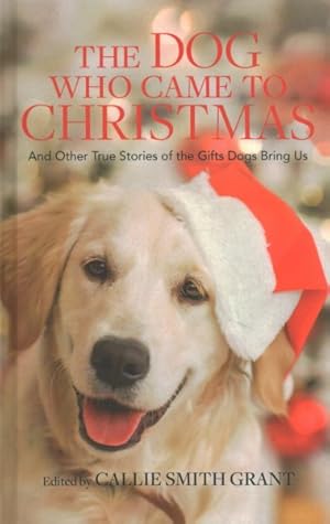 Seller image for Dog Who Came to Christmas : And Other True Stories of the Gifts Dogs Bring Us for sale by GreatBookPrices