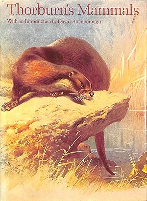 Seller image for Thorburn's Mammals for sale by M Godding Books Ltd