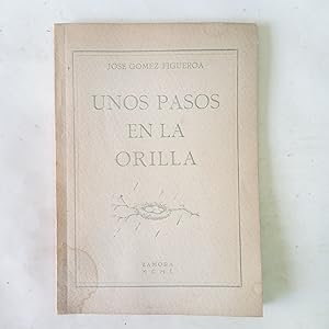 UNOS PASOS EN LA ORILLA