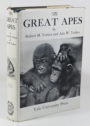 Bild des Verkufers fr The Great Apes - A Study of Anthropoid Life zum Verkauf von Renaissance Books, ANZAAB / ILAB