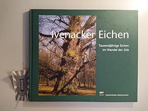 Ivenacker Eichen. Tausendjährige Eichen im Wandel der Zeit.