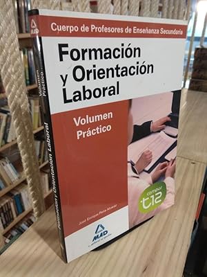 Imagen del vendedor de Formacin y Orientacin laboral Volumen Prctico. Campus t12. Profesores de Enseanza Secundaria a la venta por Libros Antuano