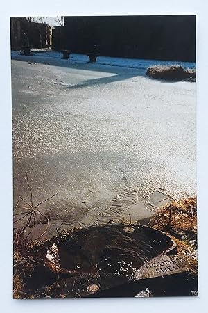 Bild des Verkufers fr Stonypath in Winter: The Temple Pool 1994 zum Verkauf von William Allen Word & Image