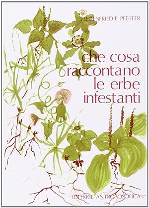Seller image for Che cosa raccontano le erbe infestanti for sale by Libro Co. Italia Srl