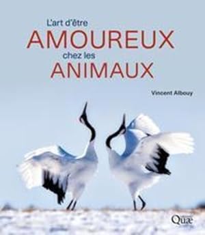 l'art d'être amoureux chez les animaux