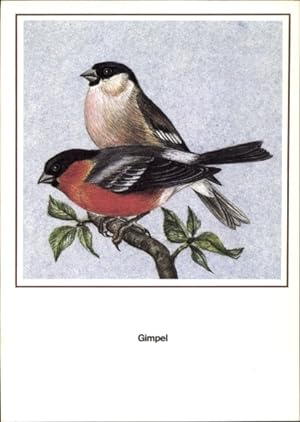 Künstler Ansichtskarte / Postkarte Schiller, R., Gimpel, Vogel